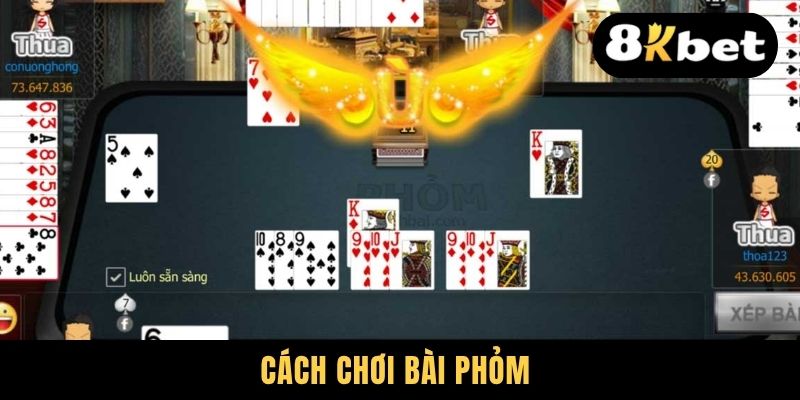 Cách Chơi Bài Phỏm Cơ Bản - Chuyên Gia Hướng Dẫn Đủ Bước