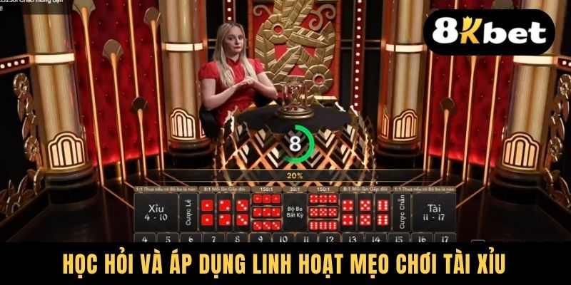 Học hỏi và áp dụng linh hoạt mẹo chơi Tài xỉu