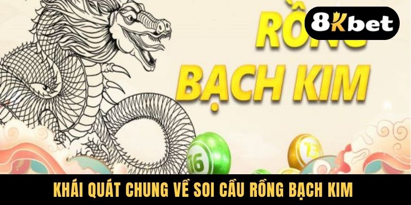 Khái quát chung về soi cầu rồng bạch kim