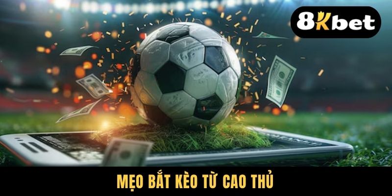 Mẹo bắt kèo từ cao thủ