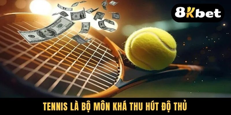 Tennis là bộ môn khá thu hút độ thủ